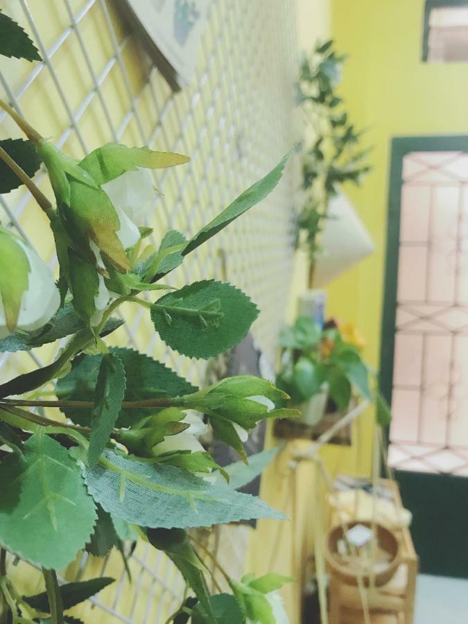 Saigon Old Town Homestay 胡志明市 外观 照片